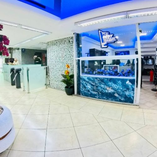 Imagem do WhatsApp de 2025-11-13 à(s) 06.39.45_b25a9d15